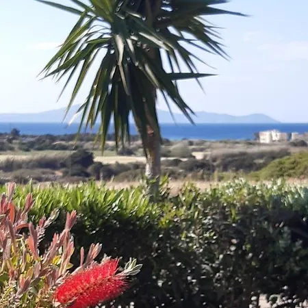 Haus Asterakia アパート *