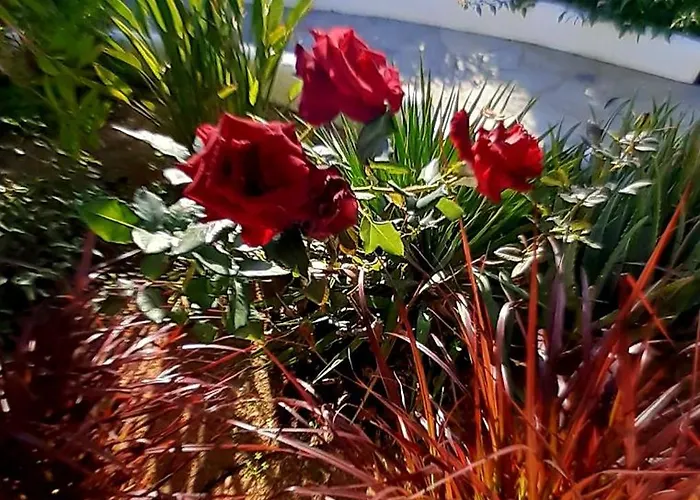 Haus Asterakia Aliko Beach