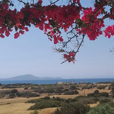 Haus Asterakia Apartment Aliko Beach