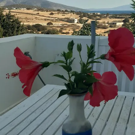 Apartment Haus Asterakia Aliko Beach