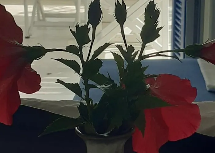 Haus Asterakia * Aliko Beach