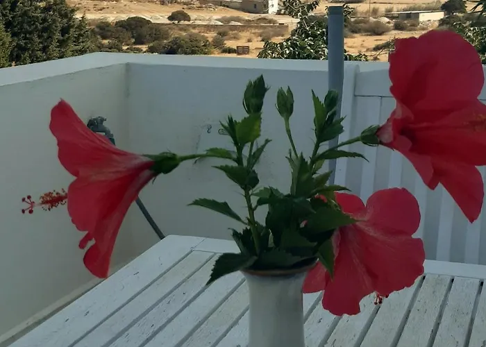 Daire Haus Asterakia Aliko Beach